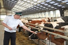 Ветеринарный контроль на молочно-товарной ферме